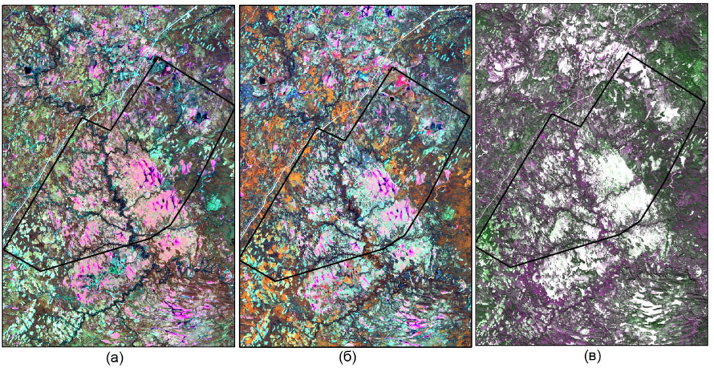 Весеннее (а), летнее (б), зимнее (в) спутниковые изображения Landsat-8 на исследуемой территории