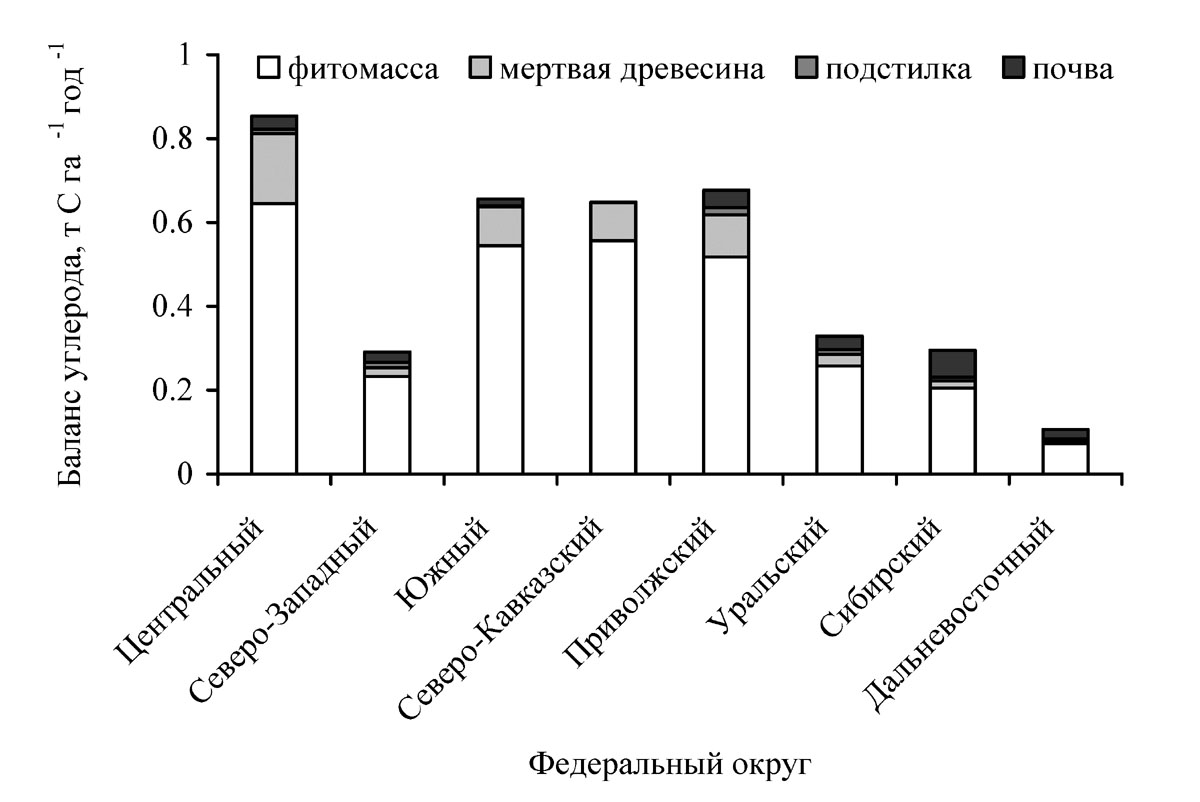 Фитомасса это