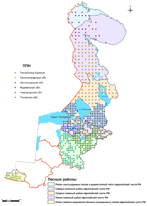 Распределение ППН по регионам северо-запада РФ с границами лесных районов