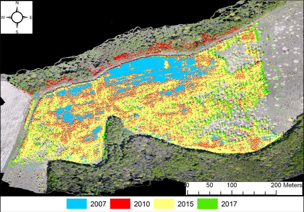 Change of overgrowth of tree vegetation on the fallow. Compiled on the basis of the results of satellite imagery and UAV material photointerpretation 