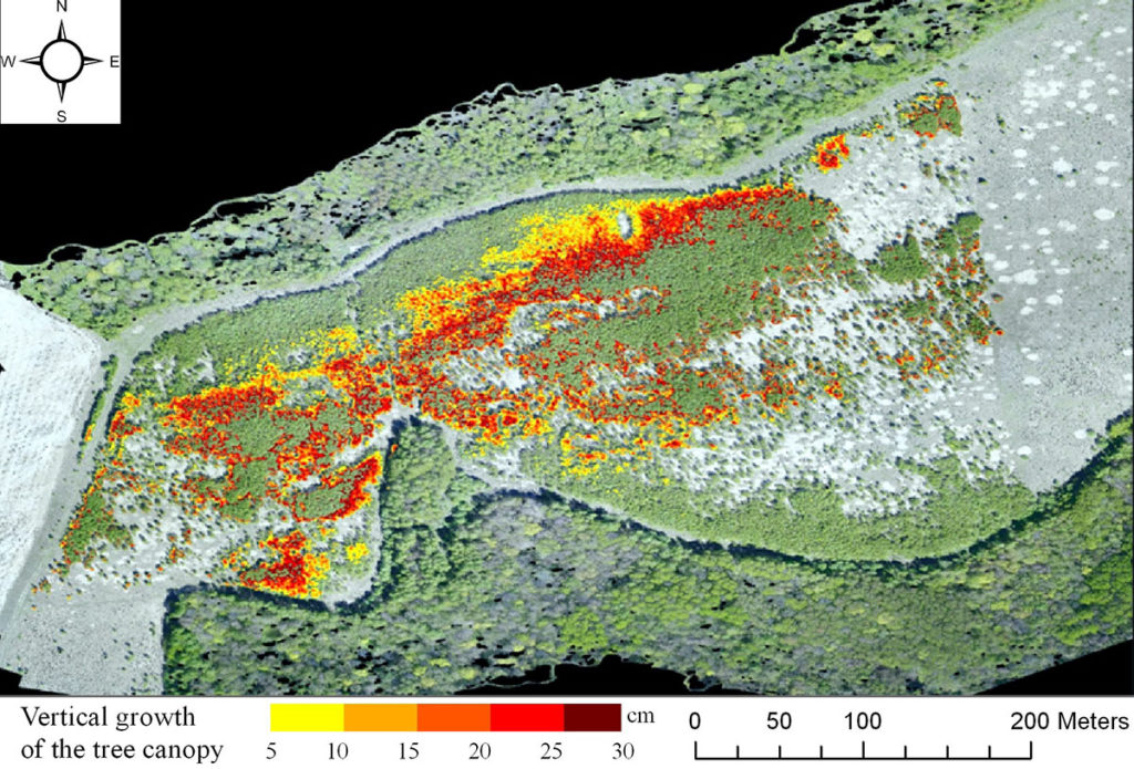 Vertical growth of the tree canopy on the fallow in 2015–2017. Based on the materials of a multi-temporal UAV images