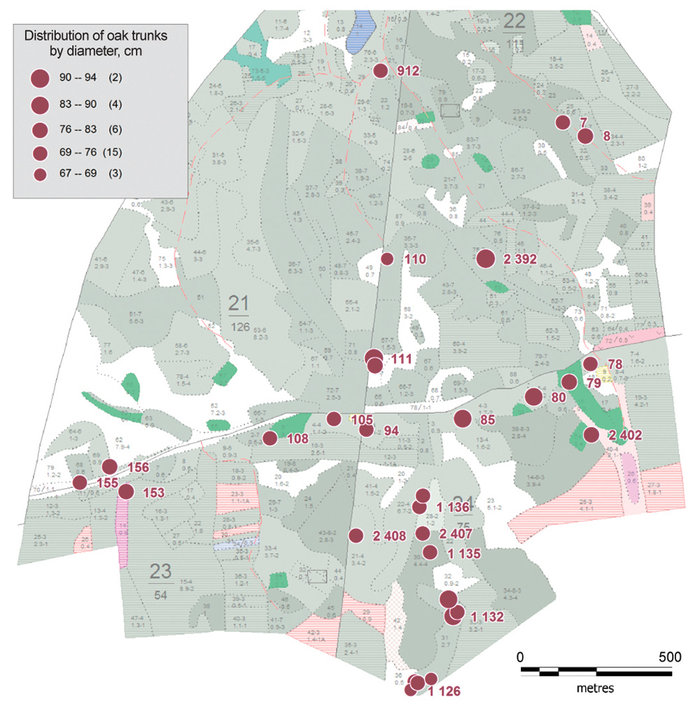 Scheme of distribution of old-aged common oak trees in Dubroshina and Solovyatnik ecosites of Streletsky site of the CCR (2010)