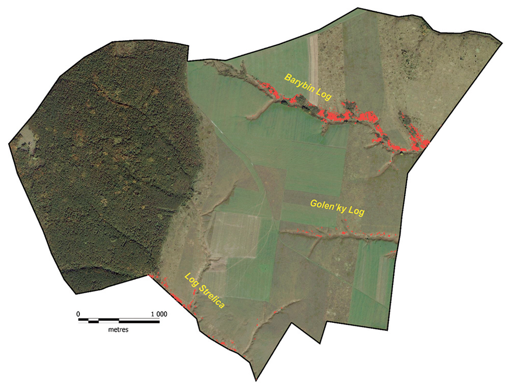 Figure 19. Scheme of projective covers of dwarf almond on Kazatsky site of the CCR, 2013