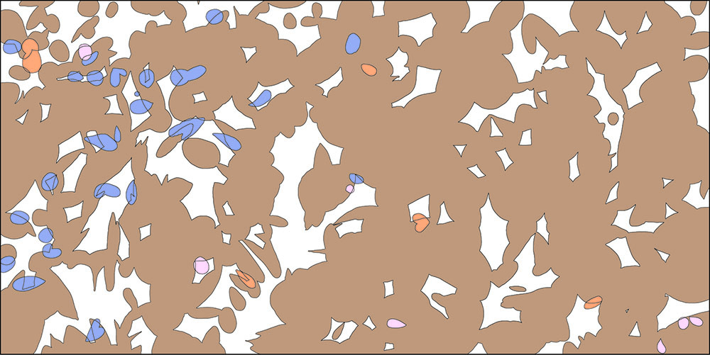 Projective cover of bird cherry (Streletsky site of the CCR, Petrin Les ecosite, forest PTP No. 9, 1992)