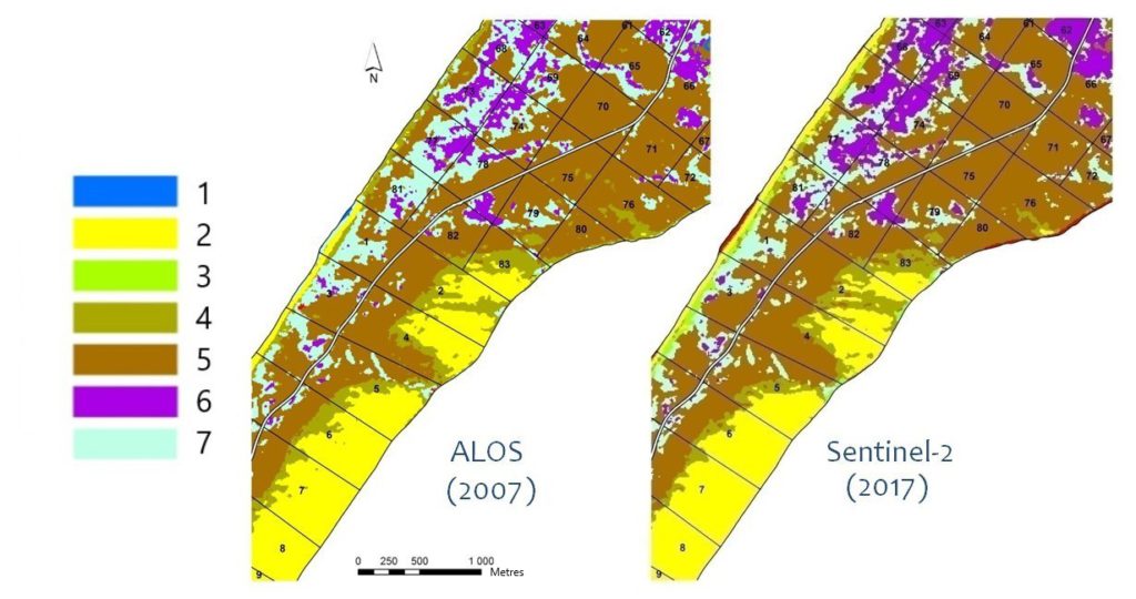 Results of the Curonian Spit vegetation classification after combining classes for ALOS and Sentinel images; classes: 1 – water bodies, 2 – sand dunes, beach, 3 – meadow vegetation, 4 –psammophilic vegetation, 5 – pine forests, 6 – black alder forests, 7 – birch forests