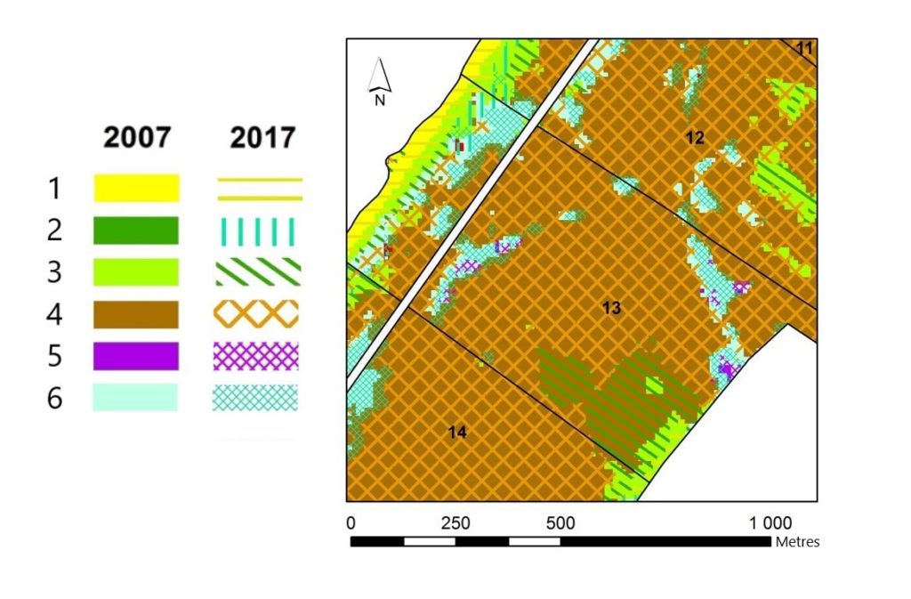 Fragment of the map of the multi-temporal state of vegetation on the territory of the 13th quarter of Zolotye Dyuny forestry. Classes: 1 – sand dunes, beach, 2 – meadow vegetation, 3 – psammophilic vegetation, 4 – pine forests, 5 – black alder forests, 6 – birch forests