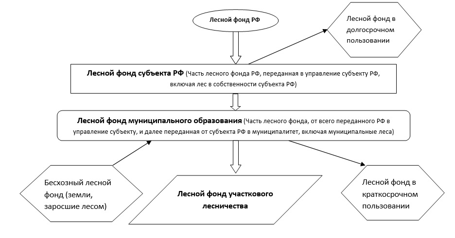 Состав лесного фонда схема. Система лесного законодательства картинка. Лесное и земельное законодательство.