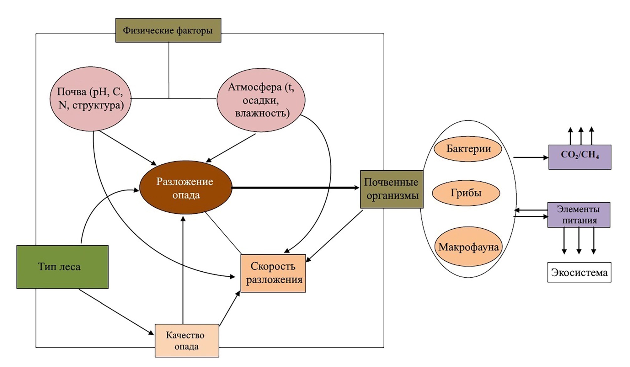 Physical factors. Psychological factors. Microorganism physical factors. Physical factors. Biological factors.