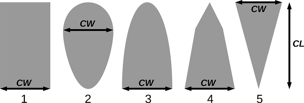 Рисунок 13. Плоские фигуры, формирующие осесимметричные тела для представления видоспецифичных форм крон: 1 — цилиндр, 2 — вертикально-асимметричный эллипсоид, 3 — полуэллипсоид, 4 — составной конус, 5 — перевёрнутый конус. CW обозначает ширину кроны в самой широкой её части (т. е. удвоенный максимальный радиус кроны), CL обозначает протяжённость кроны в вертикальном направлении (общая высота дерева за вычетом высоты прикрепления кроны). Воспроизведено по (Shanin et al., 2020)