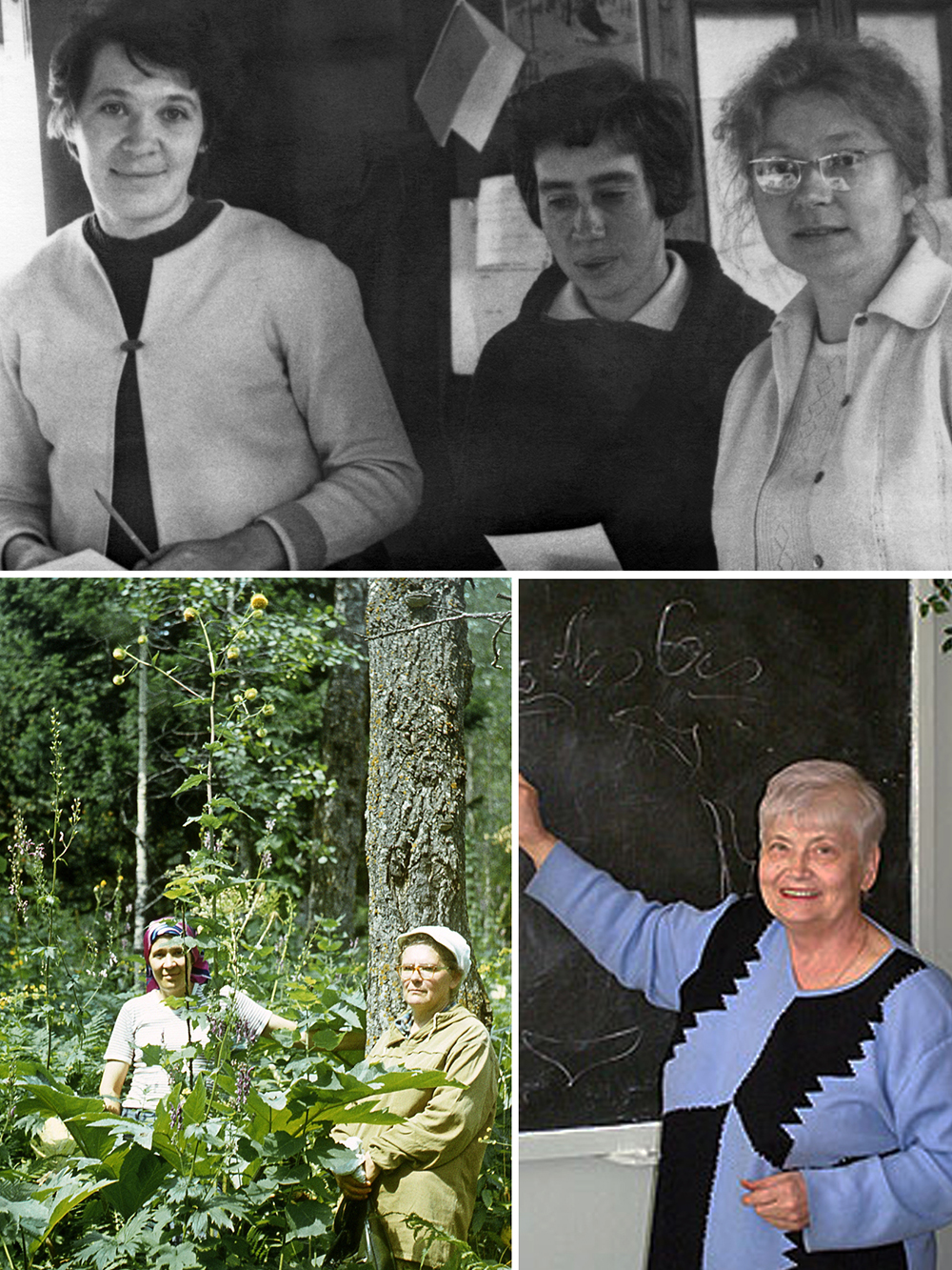 Figure 2. Professor Olga V. Smirnova’s colleagues (start). Top: Olga V. Smirnova with Alexey A. Uranov’s students — Inna M. Ermakova (Researcher at the Problem-Centered Biology Laboratory, Moscow State Pedagogical Institute) and Nina M. Grigorieva (Professor of the Chair in Botany of the Moscow State Pedagogical Institute, right), 1974. Bottom left: Among the tall forest herbs with Tatiana I. Serebryakova (Head of Chair in Botany at the Moscow State Pedagogical Institute from 1974 to 1986) during a trip to Salair (Guryevsky District, Kemerovo Oblast), 1982. Photo by M. A. Barinova. Bottom right: Aleksandra A. Chistyakova (Candidate of Biological Sciences, Full Professor at the Chair in Botany, Physiology and Plant Biochemistry, Penza State University), a co-author of Olga V. Smirnova’s principal works devoted to the interacting populations in forest communities