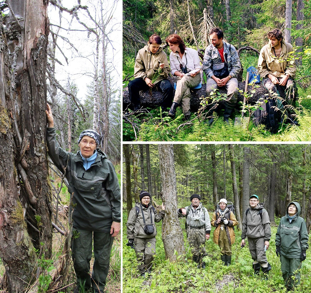 Figure 8. Expeditions (cont’d 2). Left: Olga V. Smirnova next to a rowan tree in Visimsky State Nature Biosphere Reserve, May 2019. Photo by A. P. Geraskina. Top: In the Pechora-Ilych Nature Reserve, August 2003. Left to right: Olga V. Smirnova, Elena Chernenkova, Sergey Pautov (Omsk State Technical University employee), Maxim Bobrovskij (Senior Lecturer at the Pushchino State University). Photo by V. N. Korotkov. Bottom: In the protected area of the Visimsky Nature Reserve during the study of a unique coniferous/broad-leaved forest populated with small-leaved linden and wych elm, May 2019. Left to right: Anna P. Geraskina (Candidate of Biological Sciences, Zoologist at the Center of Forest Ecology and Productivity, RAS), Rustam Z. Sibgatullin (Geobotanist at the nature reserve), Natalia V. Belyaeva (Phenologist at the nature reserve), Denis S. Shilov (Florist at the nature reserve), Olga V. Smirnova. Photo by V. N. Korotkov