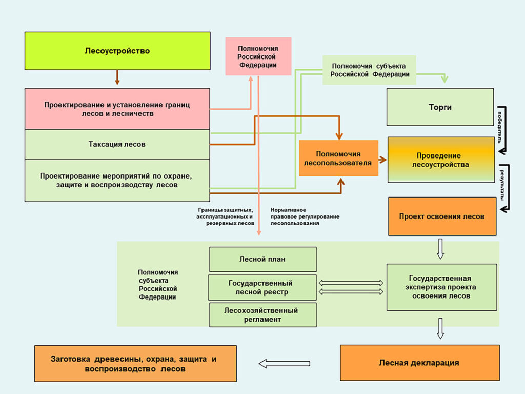 Монополизация лесоустройства: шаг вперед или назад? - Відкритий ліс