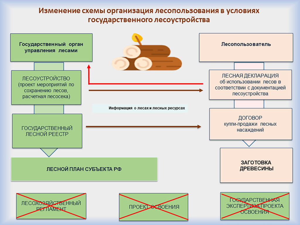 Монополизация лесоустройства: шаг вперед или назад? - Відкритий ліс