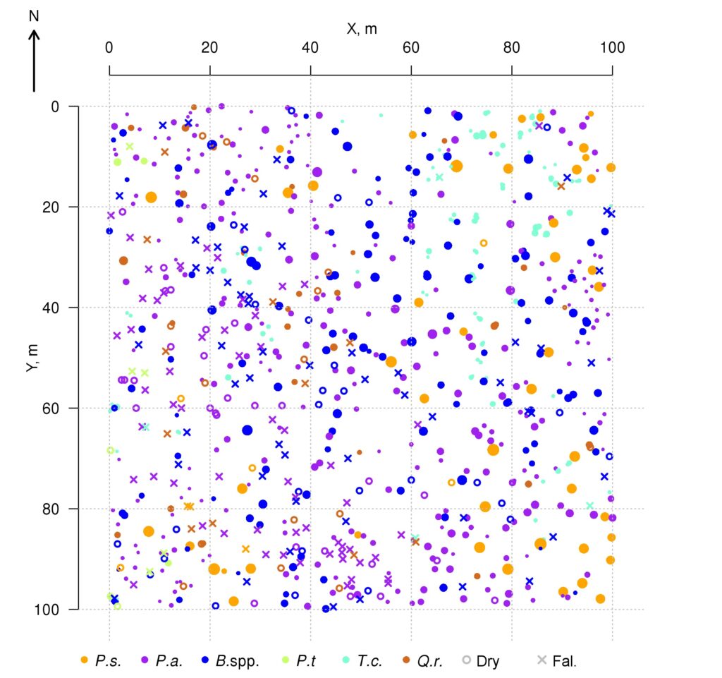 Figure 1. Plan-scheme of the stand at the permanent sample plot of the Prioksko-Terrasny Reserve P.s. — Pinus sylvestris, P.a. — Picea abies, B.spp. — Betula spp., P.t. — Populus tremula, T.c. — Tilia cordata, Q.r. — Quercus robur, Dry — dead standing trees, Fal. — fallen trees since the initial accounting in 2016