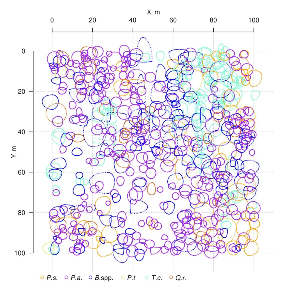 Figure 3. Plan-scheme of tree crown projections at the permanent sample plot of the Prioksko-Terrasny Reserve. The following species are shown in color: P.s. — Pinus sylvestris, P.a. — Picea abies, B.spp. — Betula spp., P.t. — Populus tremula, T.c. — Tilia cordata, Q.r. — Quercus robur