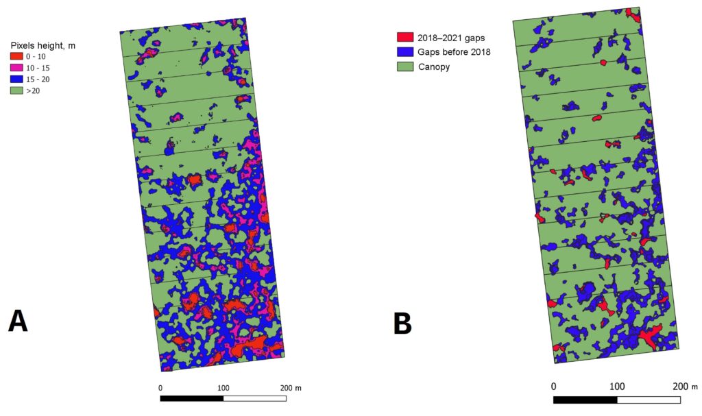 Figure 4. A: Plan of a permanent sample plot in the 