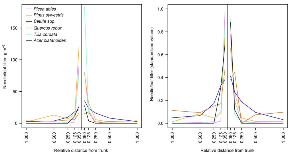 Figure 5. Spatial distribution of needle/leaf litter of trees of different species: left — absolute units; right — values standardized with respect to the total amount of litter for the entire transect