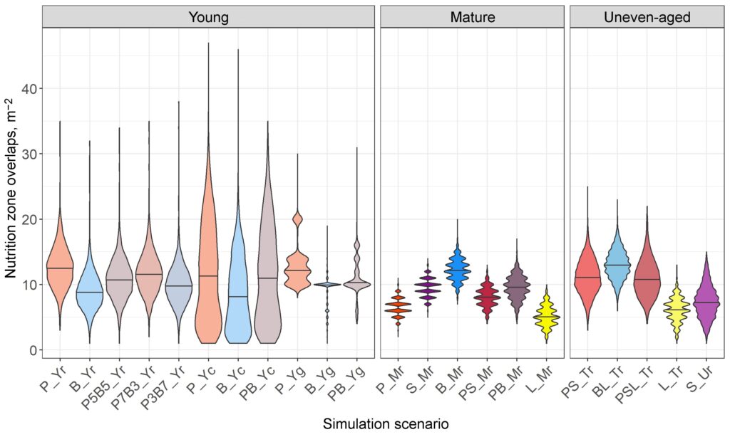 Figure 15. Distribution of root competition intensity (number of nutrition zone overlaps per 1 m2 of simulation grid) in stands of different composition and spatial structure. Codes and characteristics of the scenarios are summarized in Table 6. Horizontal lines indicate median values