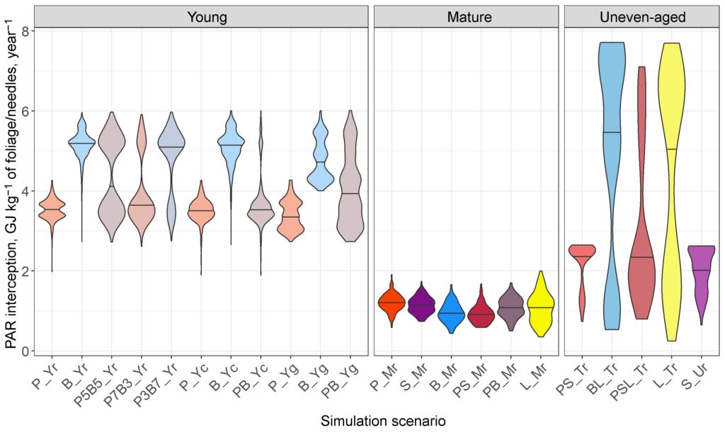 Figure 17. PAR interception at the level of individual trees (GJ per 1 kg of foliage/needles, sum for the growing season) in stands of different composition and spatial structure