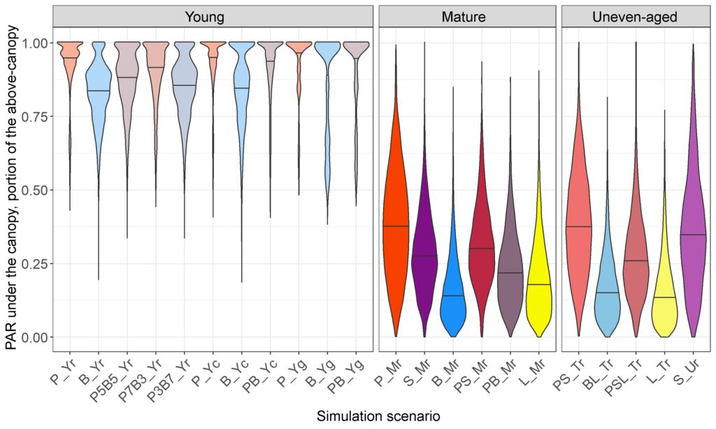 Figure 18. Distribution of PAR reaching the soil surface (fraction of the aboveground PAR) at the level of individual cells of the simulation grid in stands of different composition and spatial structure