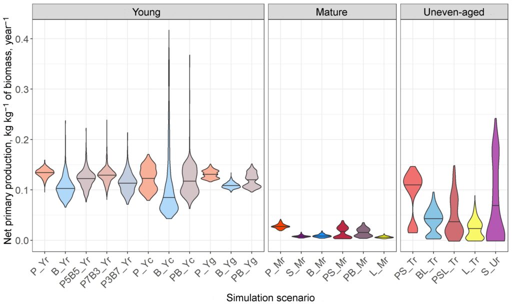 Figure 19. Productivity at the individual tree level (kg of net primary production per year per 1 kg of total tree biomass) in stands of different composition and spatial structure