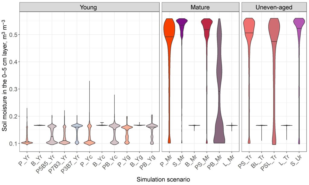 Figure 21. Moisture distribution in the 0–5 cm layer on the 100th day of the year under stands of different composition and spatial structure