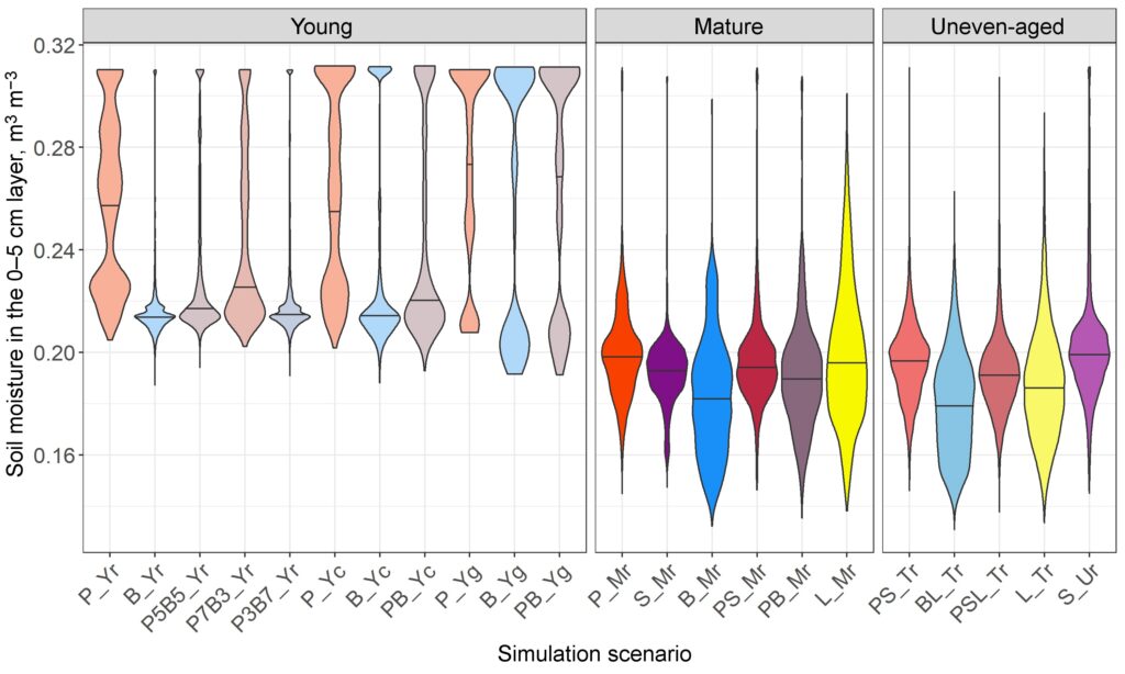 Figure 25. Moisture distribution in the 0–5 cm layer on the 210th day of the year under stands of different composition and spatial structure