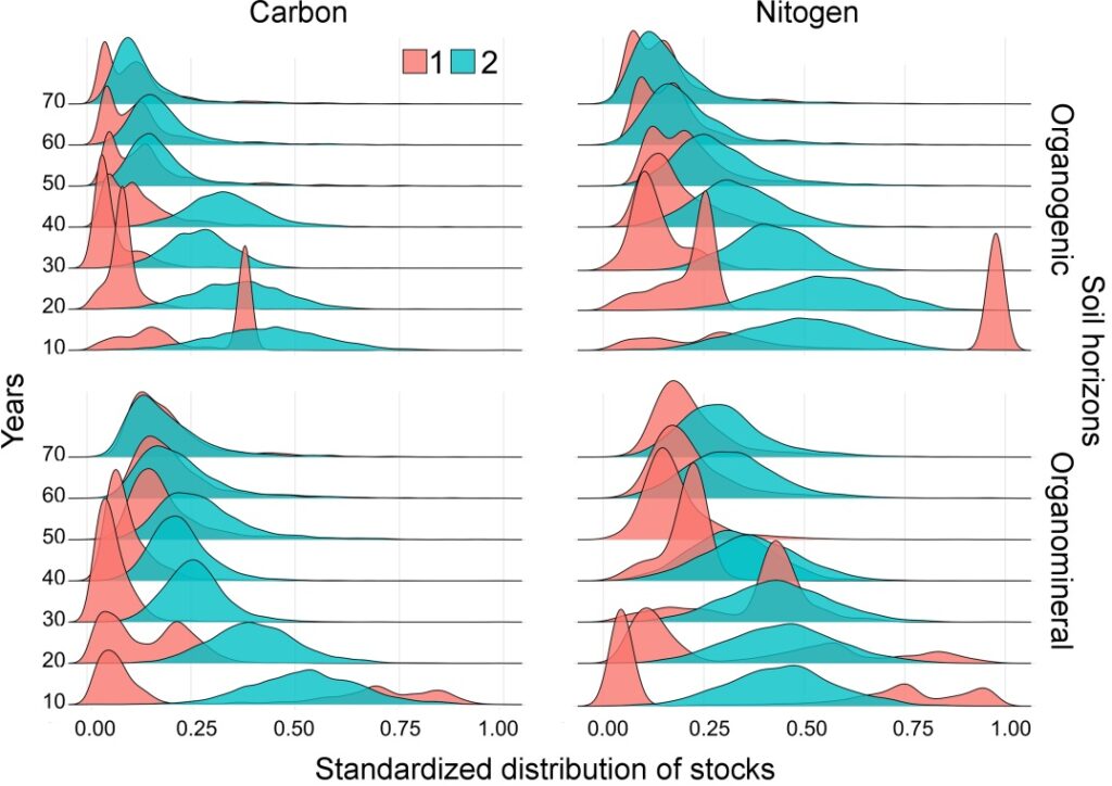 Figure 31. Standardized distribution of C and N stocks in organogenic (forest floor) and organomineral soil horizons in a scenario of a pine-birch stand with clustered tree placement. Symbols are the same as in Fig. 29