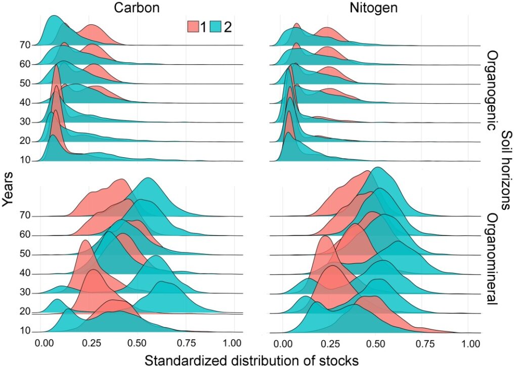 Figure 33. Standardized distribution of C and N stocks in organogenic (forest floor) and organomineral soil horizons in a pine crop scenario with a regular tree arrangement. Symbols are the same as in Fig. 29