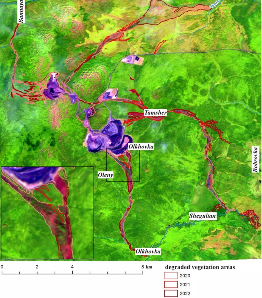 Figure 2. Fragment of Sentinel-2 satellite image with degraded vegetation areas