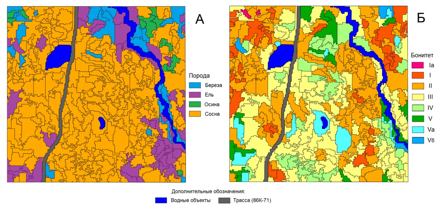 Рисунок 3. Распределение территории полигона «Кивач» по преобладающим породам (А) и классам бонитета (Б)