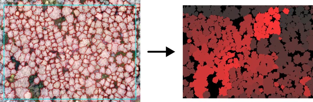 Figure 2. Converting an input dataset into a multidimensional array format.