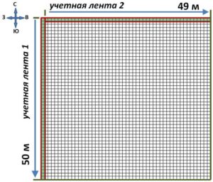 Рисунок 2. Схема закладки лент для учета подроста и подлеска на ППП