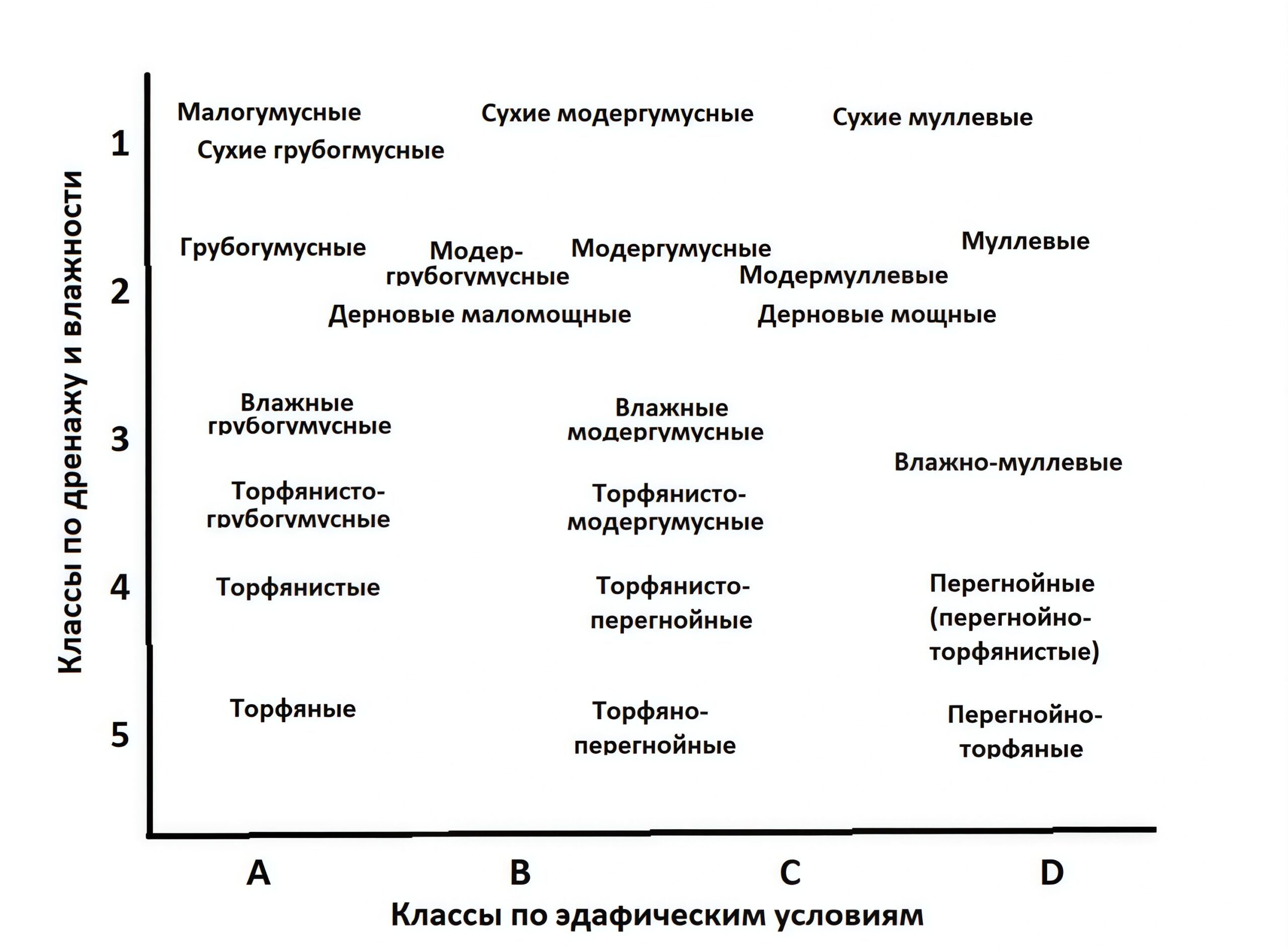 Рисунок 1. Ординация типов аккумуляции ПОВ (форм гумуса) лесных почв по классам богатства (А, бедные – D, богатые) и влажности (1, сухие – 5, постоянно избыточно переувлажненные) типов лесорастительных условий лесной зоны Европейской России (Чертов, 1981; Чертов, Надпорожская, 2018; Chertov, Nadporozhskaya, 2017). Классы эдафических условий - принятые в лесоведении градации богатства (плодородия) почв.