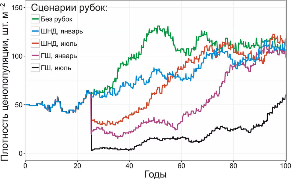 Рисунок 10. Динамика плотности ценопопуляции черники при различных особенностях рубок