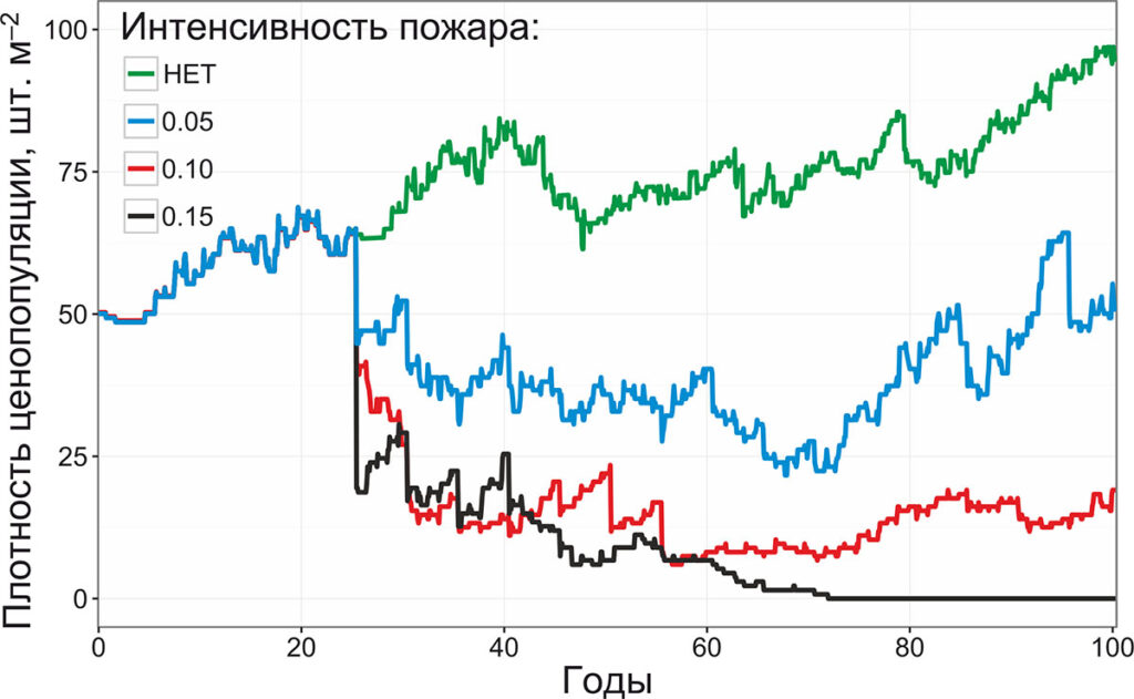 Рисунок 9. Динамика плотности ценопопуляции черники при низовых лесных пожарах различной способности к распространению
