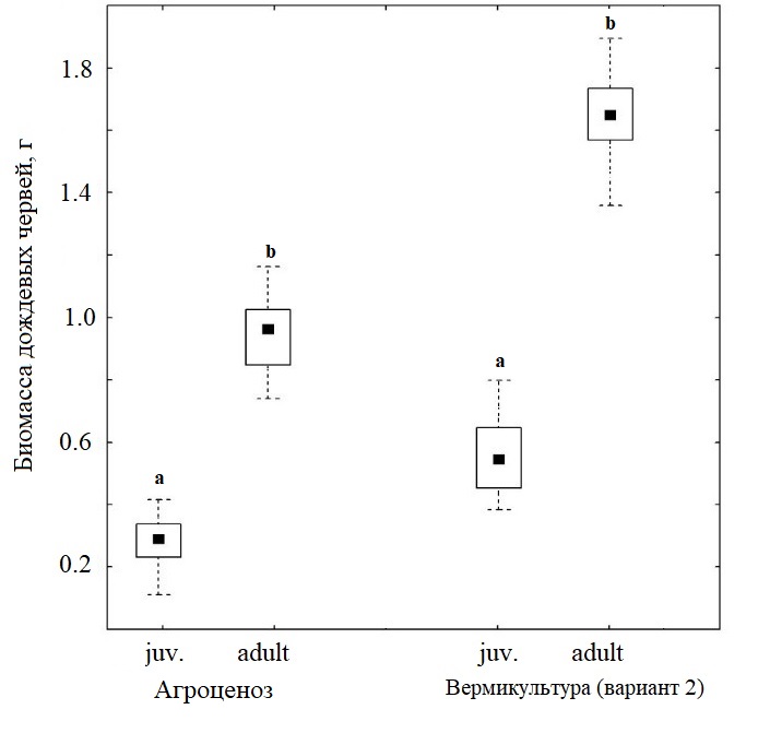 Рисунок 4. Средняя биомасса живой ювенильной (juv.) и половозрелой особи (adult) Aporrectodea caliginosa из агроценоза (n=30) и вермикультуры в условиях подкормки и повышенной влажности (второй вариант эксперимента, n=30). Различия статистически значимы в пределах одного онтогенетического состояния (критерий Краскелла-Уоллиса, p ≤ 0.05).