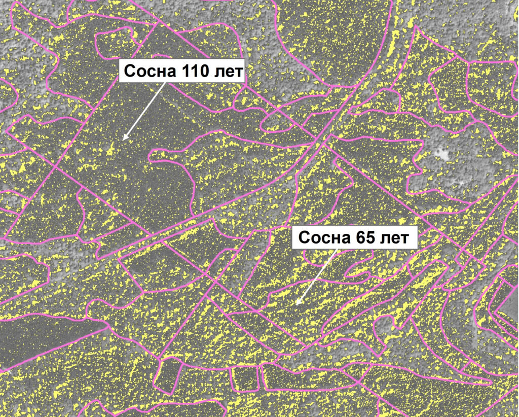 Рисунок 3. Фрагмент изображения Геотон-Л (10.07.2017г.) с наложенным векторным слоем таксационных выделов и маской теневых межкроновых промежутков, выделенных желтым цветом: А) диапазон D4 – 100-140; б) диапазон D8 – 100-180