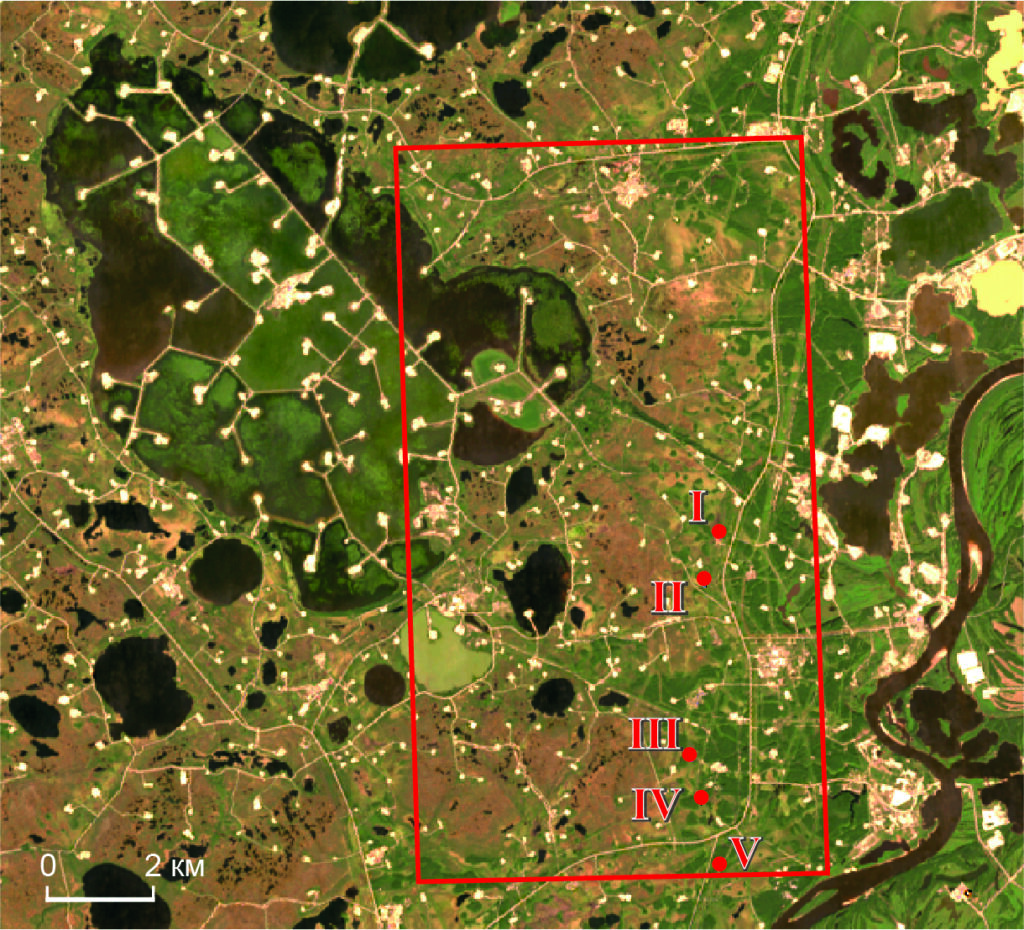 Рисунок 1. Юго-восточная часть Самотлорского месторождения на снимке со спутника Landsat. Прямоугольными границами выделен изучаемый участок. Цифрами I-V обозначено положение крупных нефтяных разливов, анализируемых в статье