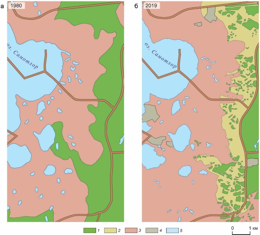 Рисунок 3. Площади лесов на исследуемом участке Самотлорского месторождения в 1980 г. (по топографической карте масштаба 1:200 000) и 2019 г. (по снимку со спутника WorldView-3): 1– леса, 2 – травянисто-кустарниковые суходольные пустоши на месте уничтоженных лесов, 3 – верховые и низовые болота, 4 – участки предприятий по первичной переработке нефти, 5 – озера