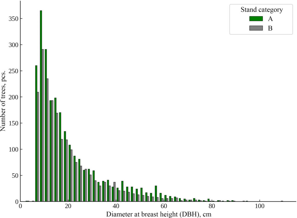 Figure 2. Distribution of trees by diameter (DBH). A, old-growth stand; B, post-logging stand
