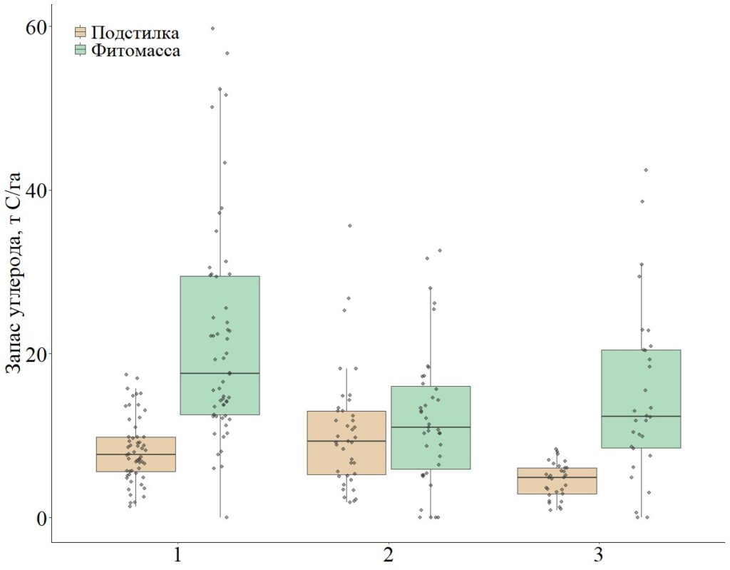 Рисунок 2. Запасы подстилки и надземной фитомассы древостоя на объектах исследования в разных географических зонах: 1 – Приамурье, 2 – Якутия, 3 – Забайкальский край