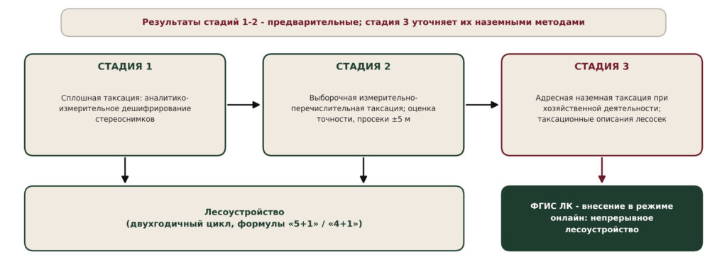 Рисунок 4. Трёхстадийная модель таксации в зоне таксации лесов Источник: составлено автором по (Архипов, 2025)